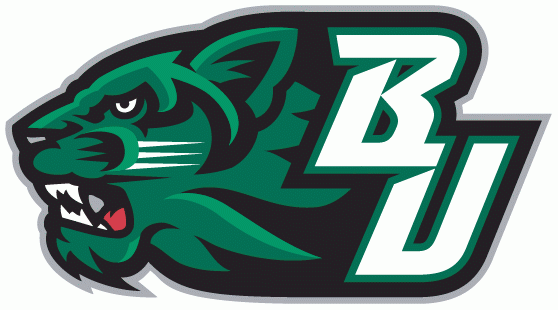 Binghamton Bearcats 2001-Pres Secondary Logo v3 diy fabric transfer